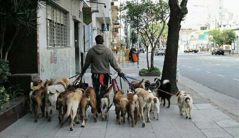 IMG_20140220_112348~2