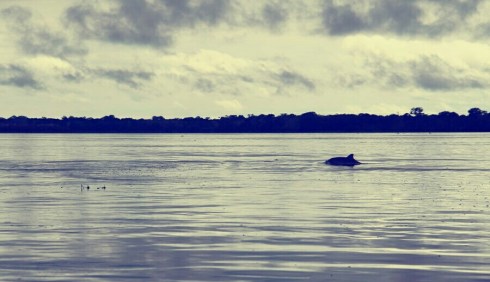 IMG_20131222_223638~2