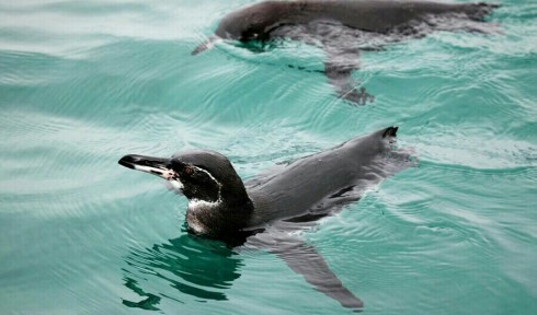 IMG_20140102_234201~2~2