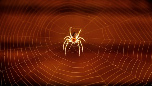 IMG_20140820_200027~2