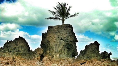 IMG_20150523_172037~2